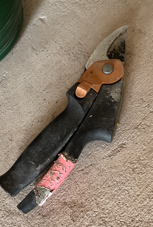 Bush and Tree Trim tools